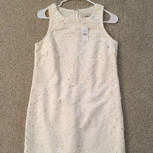 LOFT off white classy lace dress!